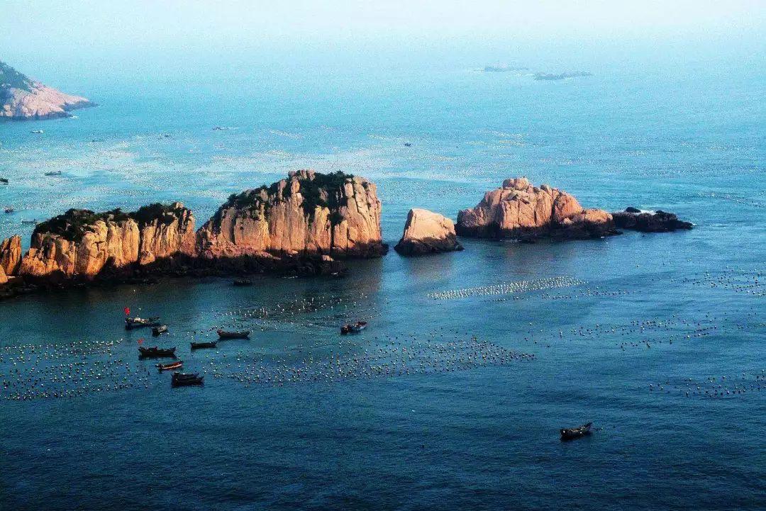 诱捕小浣熊